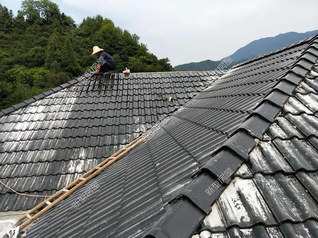 30元一平的樹脂瓦省錢又耐用？網友：吃飽沒事干，用一年就得換